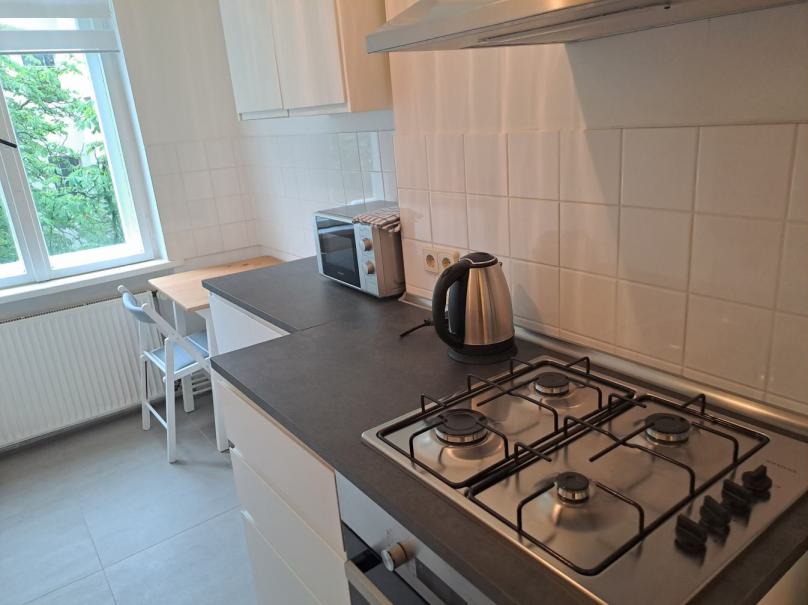 Fully renovated and completely furnished flat in Prenzlauer Berg